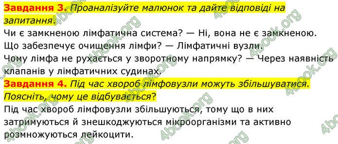 ГДЗ Робочий зошит біологія 8 клас Мирна (НУШ)