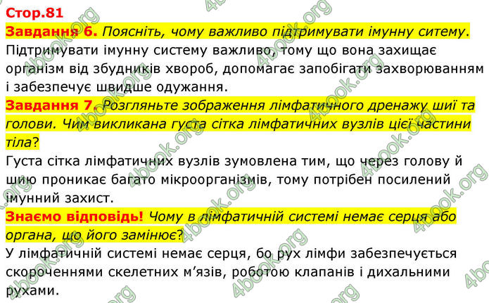 ГДЗ Робочий зошит біологія 8 клас Мирна (НУШ)