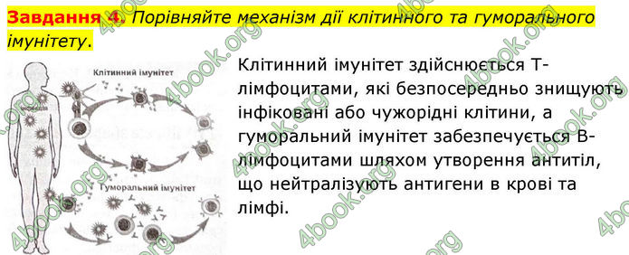 ГДЗ Робочий зошит біологія 8 клас Мирна (НУШ)