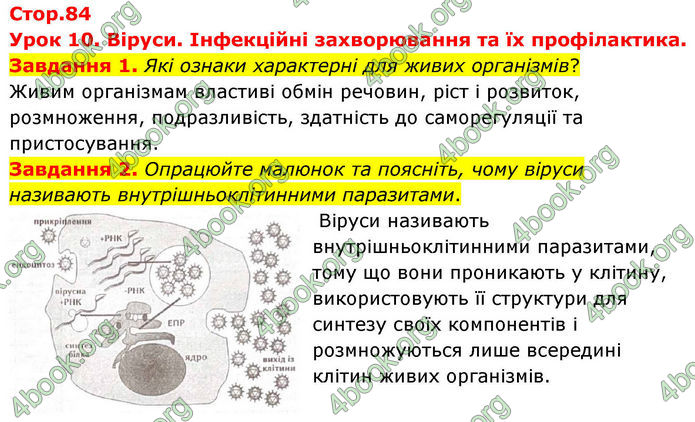 ГДЗ Робочий зошит біологія 8 клас Мирна (НУШ)