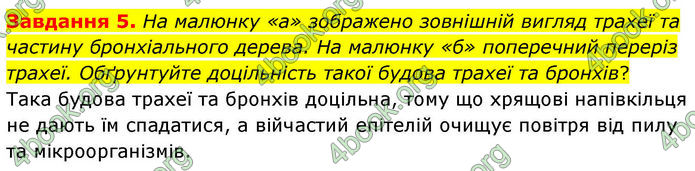 ГДЗ Робочий зошит біологія 8 клас Мирна (НУШ)