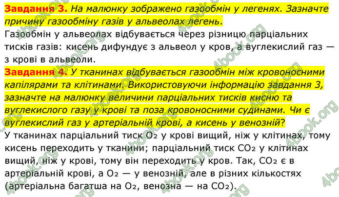 ГДЗ Робочий зошит біологія 8 клас Мирна (НУШ)