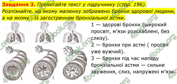 ГДЗ Робочий зошит біологія 8 клас Мирна (НУШ)