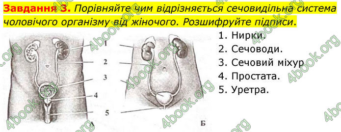 ГДЗ Робочий зошит біологія 8 клас Мирна (НУШ)