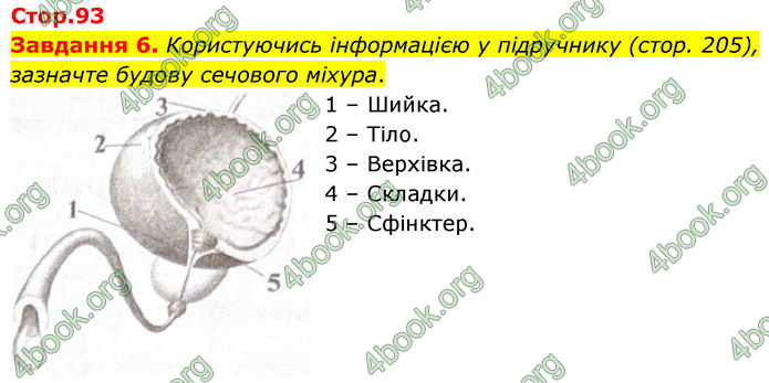 ГДЗ Робочий зошит біологія 8 клас Мирна (НУШ)