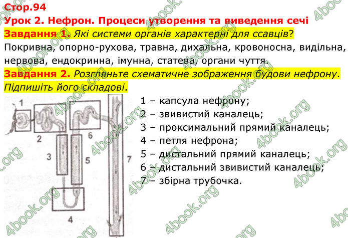 ГДЗ Робочий зошит біологія 8 клас Мирна (НУШ)
