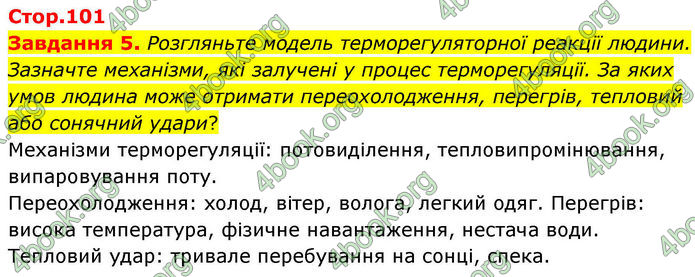 ГДЗ Робочий зошит біологія 8 клас Мирна (НУШ)
