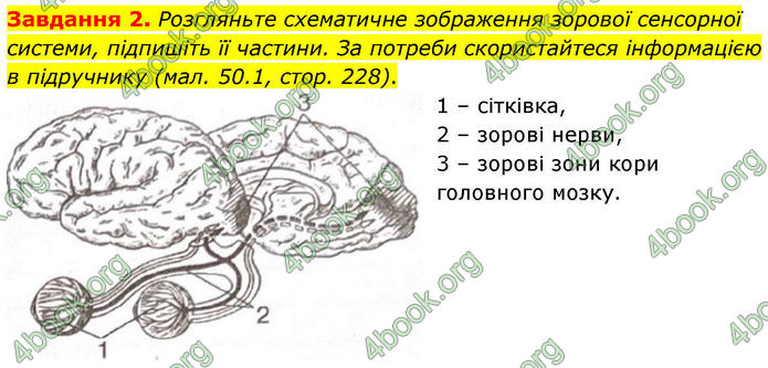 ГДЗ Робочий зошит біологія 8 клас Мирна (НУШ)