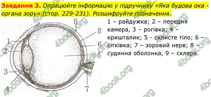 ГДЗ Робочий зошит біологія 8 клас Мирна (НУШ)