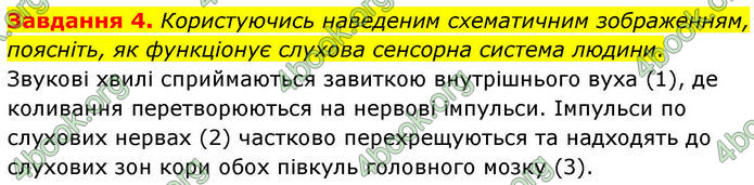 ГДЗ Робочий зошит біологія 8 клас Мирна (НУШ)