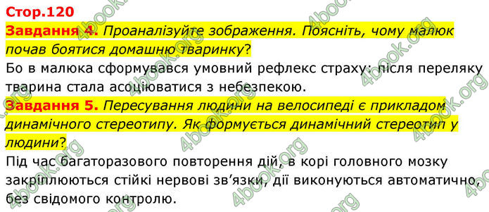 ГДЗ Робочий зошит біологія 8 клас Мирна (НУШ)