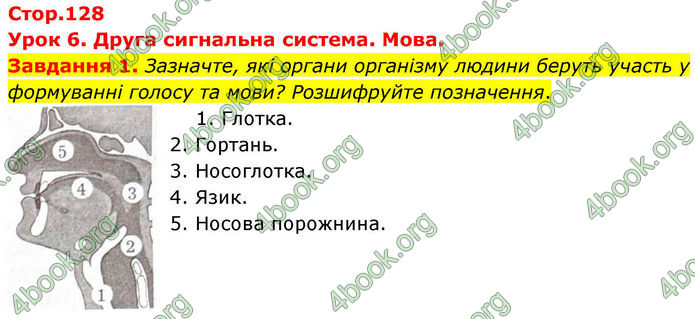 ГДЗ Робочий зошит біологія 8 клас Мирна (НУШ)