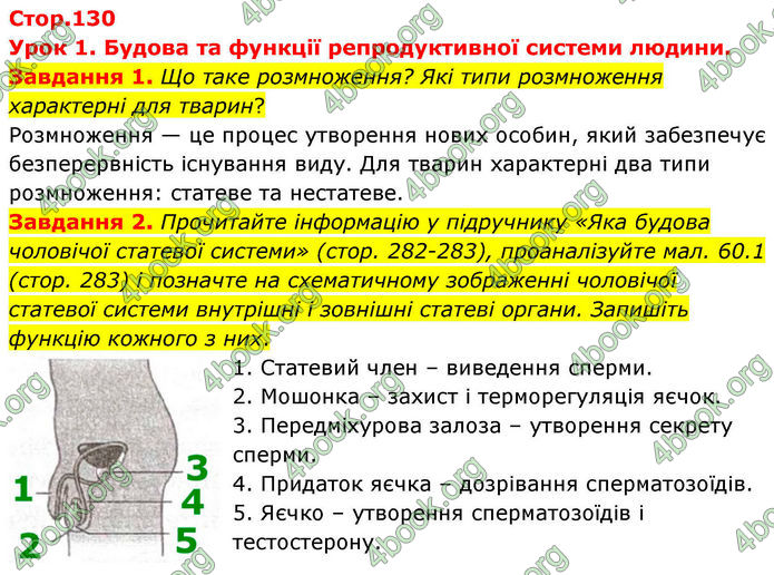 ГДЗ Робочий зошит біологія 8 клас Мирна (НУШ)