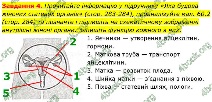 ГДЗ Робочий зошит біологія 8 клас Мирна (НУШ)