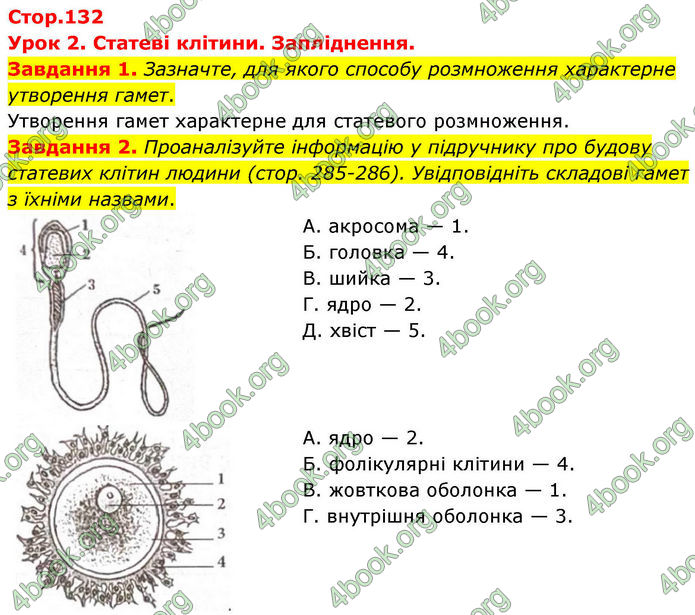 ГДЗ Робочий зошит біологія 8 клас Мирна (НУШ)