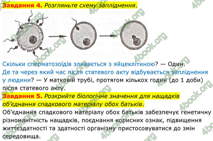 ГДЗ Робочий зошит біологія 8 клас Мирна (НУШ)