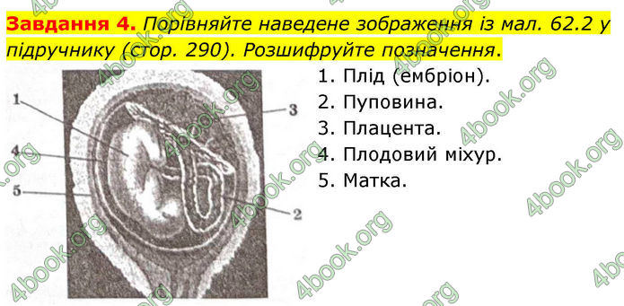 ГДЗ Робочий зошит біологія 8 клас Мирна (НУШ)