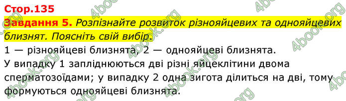 ГДЗ Робочий зошит біологія 8 клас Мирна (НУШ)
