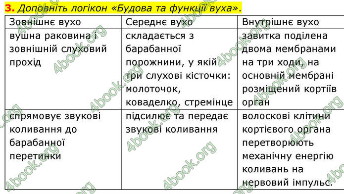 ГДЗ Зошит Біологія 8 клас Кулініч (2025)