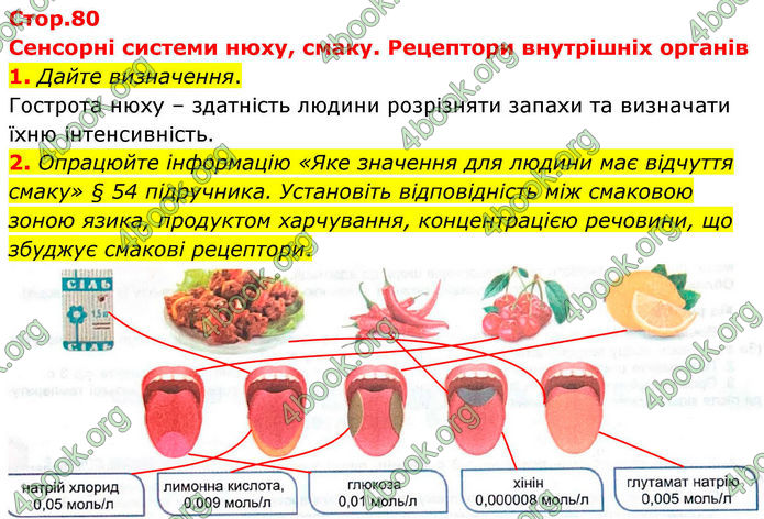 ГДЗ Зошит Біологія 8 клас Кулініч (2025)