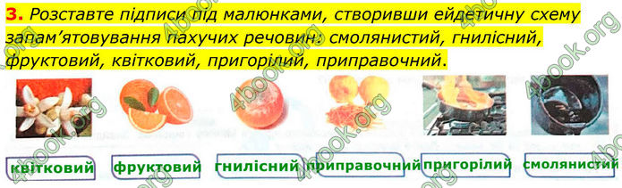 ГДЗ Зошит Біологія 8 клас Кулініч (2025)