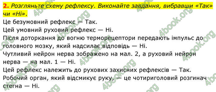 ГДЗ Зошит Біологія 8 клас Кулініч (2025)