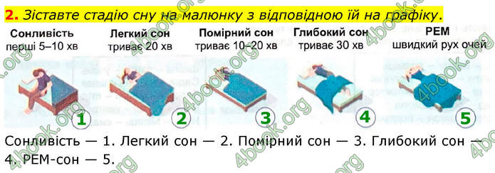 ГДЗ Зошит Біологія 8 клас Кулініч (2025)