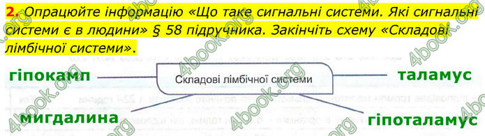 ГДЗ Зошит Біологія 8 клас Кулініч (2025)