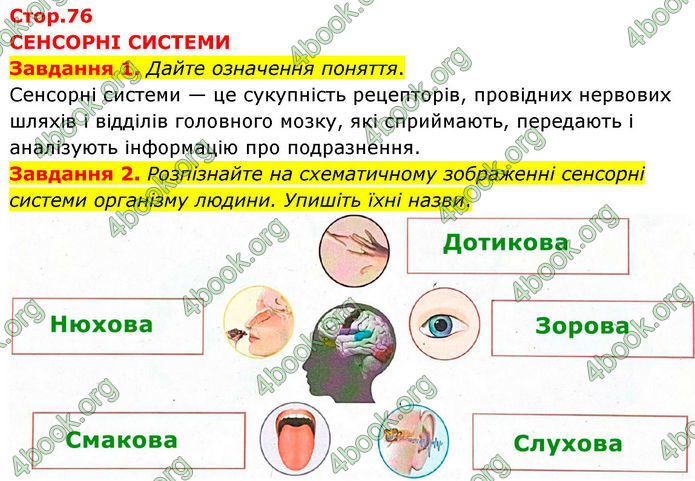 ГДЗ зошит з біології 8 клас Андерсон 2025