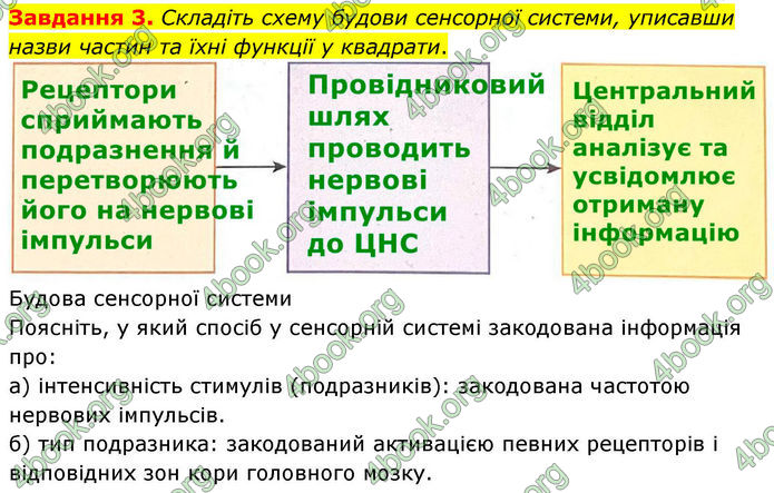 ГДЗ зошит з біології 8 клас Андерсон 2025
