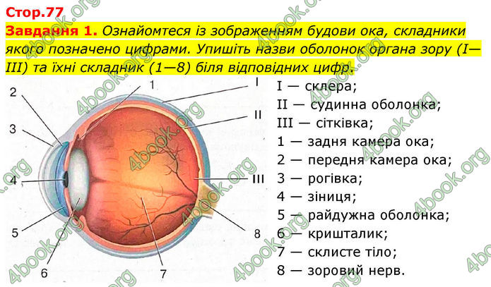 ГДЗ зошит з біології 8 клас Андерсон 2025