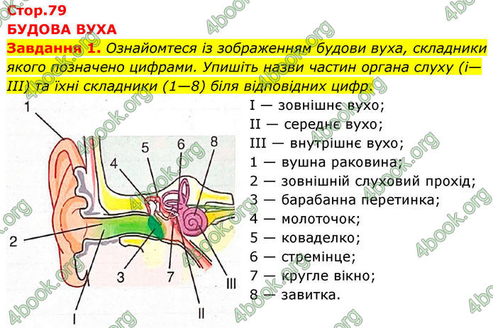 ГДЗ зошит з біології 8 клас Андерсон 2025