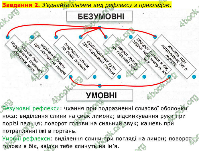 ГДЗ зошит з біології 8 клас Андерсон 2025