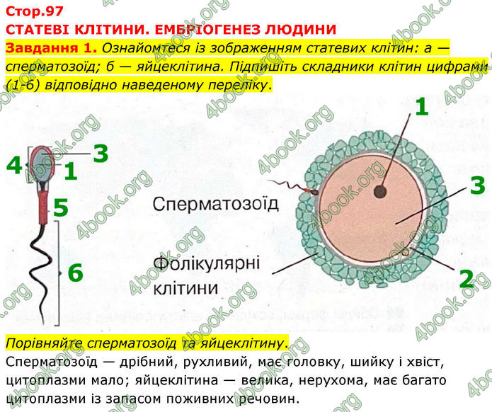 ГДЗ зошит з біології 8 клас Андерсон 2025