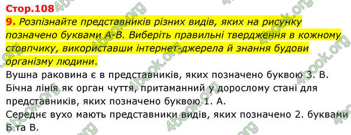 ГДЗ зошит з біології 8 клас Андерсон 2025