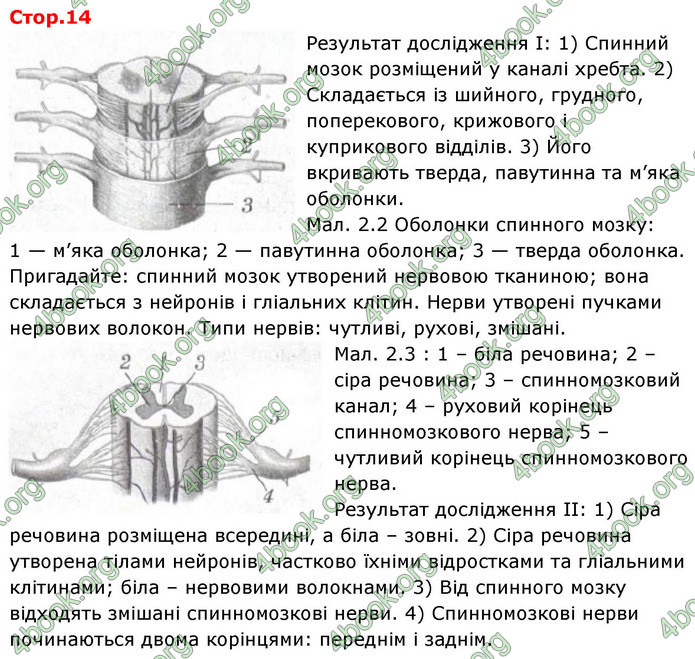 ГДЗ зошит Біологія 8 клас Сало НУШ ГДЗ зошит Біологія 8 клас Сало НУШ
