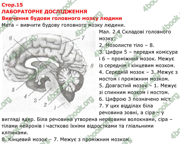 ГДЗ зошит Біологія 8 клас Сало НУШ ГДЗ зошит Біологія 8 клас Сало НУШ