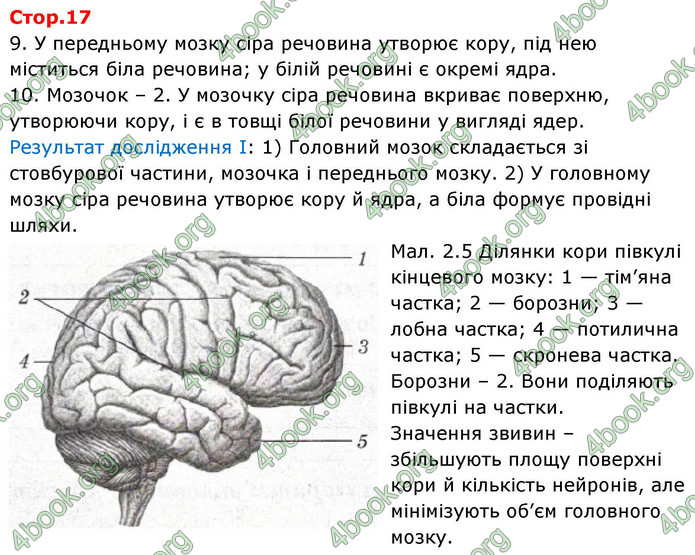 ГДЗ зошит Біологія 8 клас Сало НУШ ГДЗ зошит Біологія 8 клас Сало НУШ