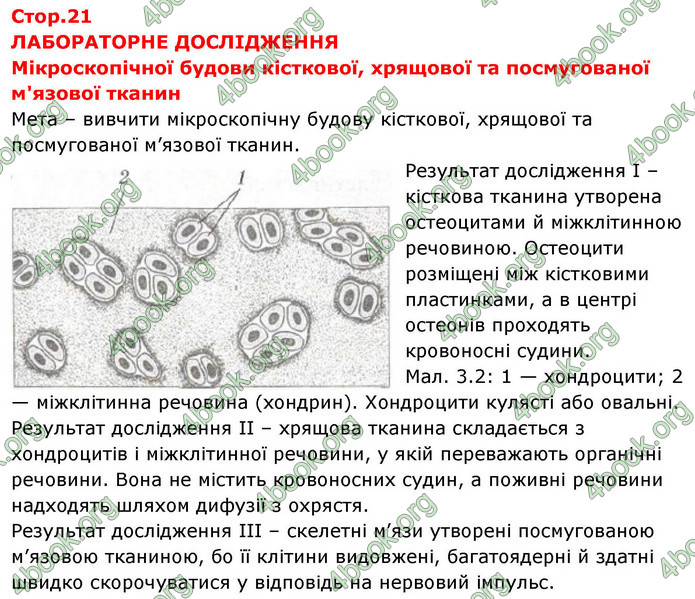 ГДЗ зошит Біологія 8 клас Сало НУШ ГДЗ зошит Біологія 8 клас Сало НУШ