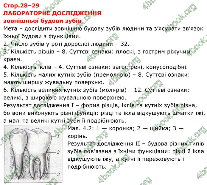 ГДЗ зошит Біологія 8 клас Сало НУШ