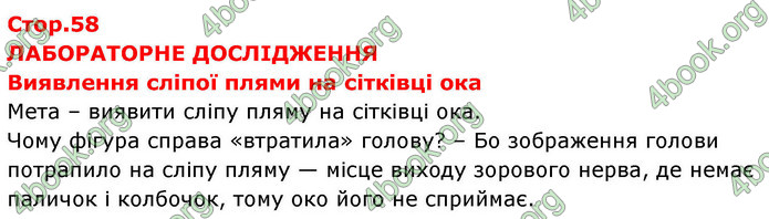 ГДЗ зошит Біологія 8 клас Сало НУШ