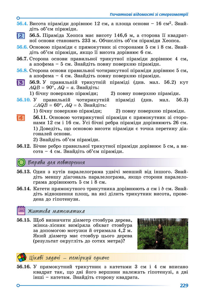 Підручник Математика 9 клас Істер НУШ (2 частина)