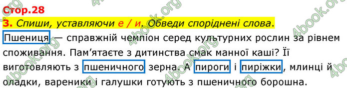ГДЗ Зошит Українська мова та читання 4 клас Большакова 2026 (1 та 2 ч.)