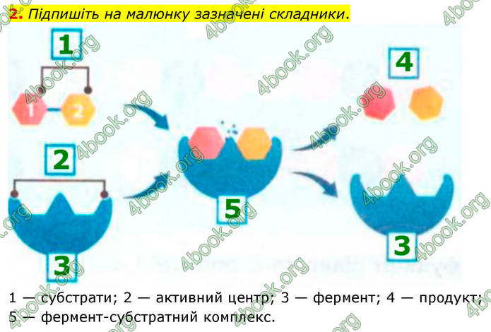 ГДЗ Зошит біологія 9 клас Тагліна НУШ