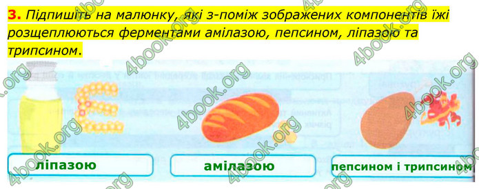 ГДЗ Зошит біологія 9 клас Тагліна НУШ