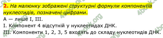 ГДЗ Зошит біологія 9 клас Тагліна НУШ