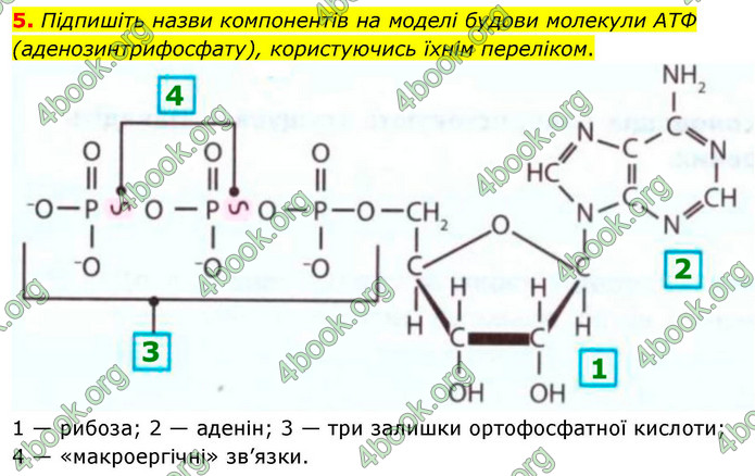 ГДЗ Зошит біологія 9 клас Тагліна НУШ