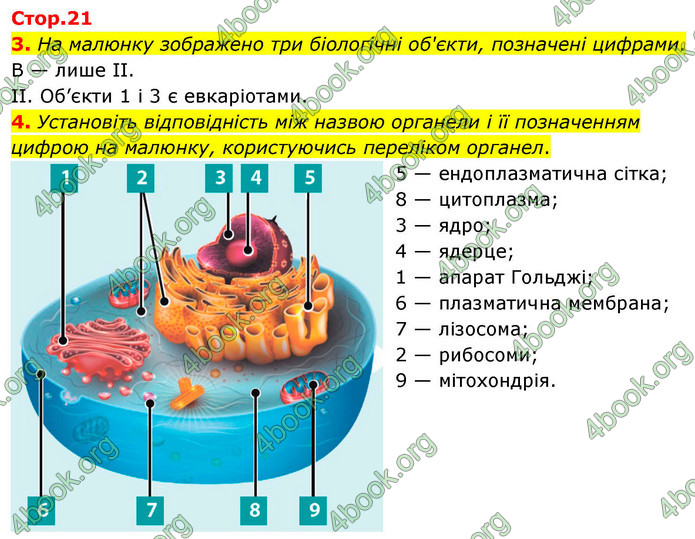 ГДЗ Зошит біологія 9 клас Тагліна НУШ