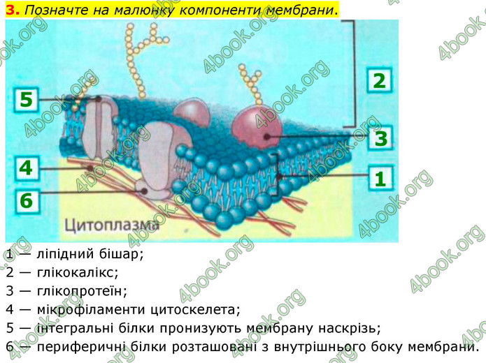 ГДЗ Зошит біологія 9 клас Тагліна НУШ