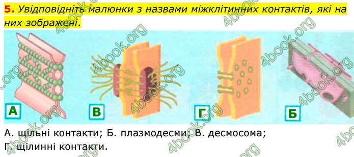 ГДЗ Зошит біологія 9 клас Тагліна НУШ